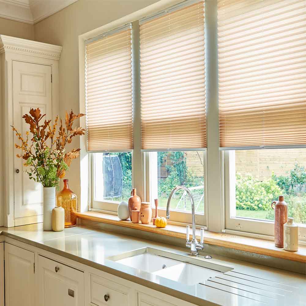 Pleated blinds in Norwich